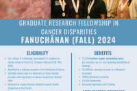 PIPCHE Fellowship Flyer Fall 2024